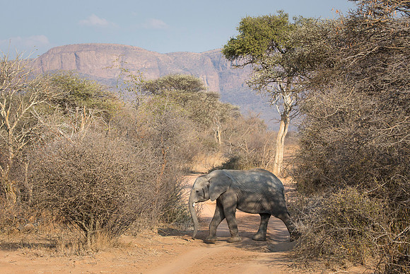 South Africa