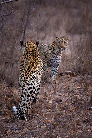 South Africa