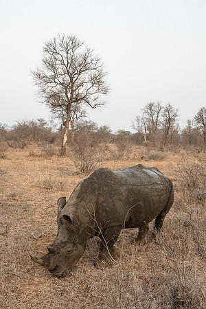South Africa