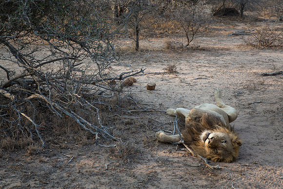 South Africa