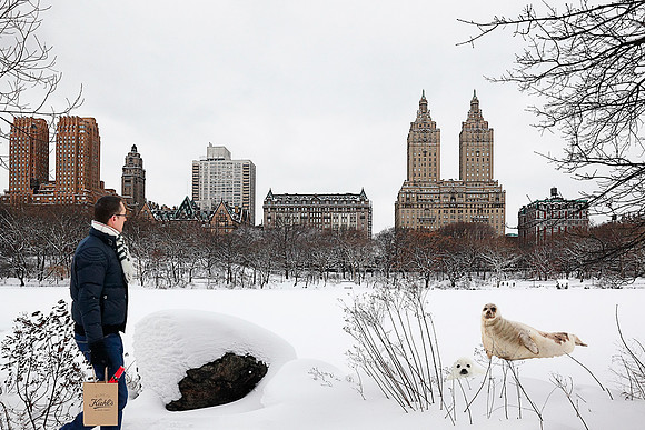 Escaping Central Park