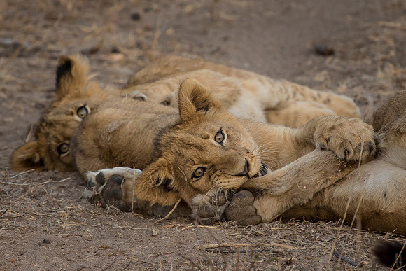 South Africa