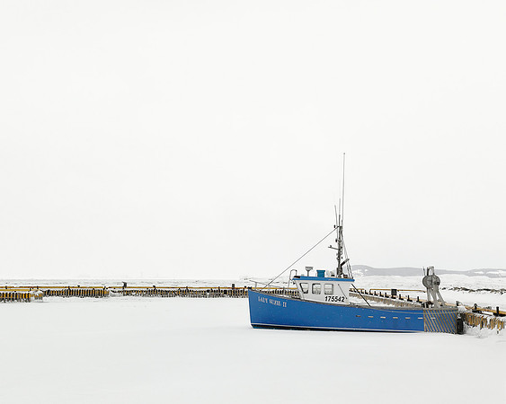 Lady Suzie II