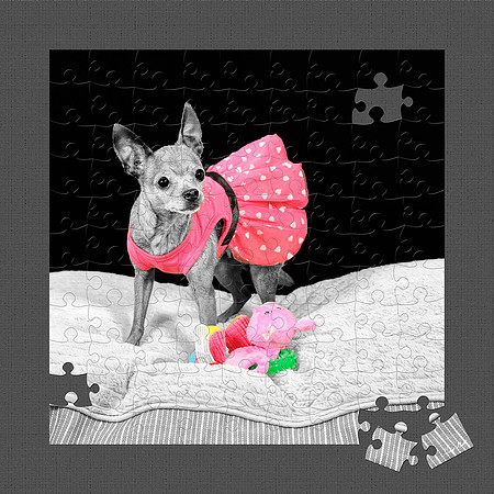 Saving Minnie