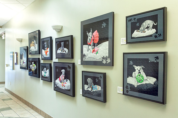 SPCA Wake County Adoption Center