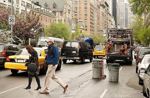 Collecting The Garbage