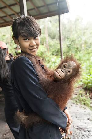 Borneo