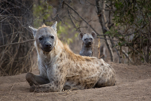 South Africa