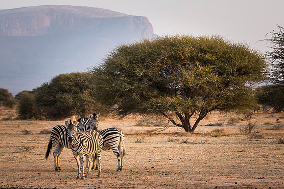 South Africa