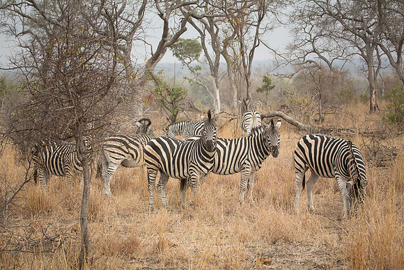 South Africa