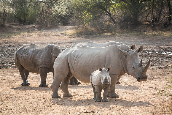 South Africa