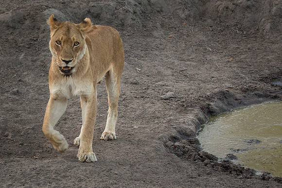 South Africa