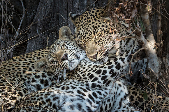 South Africa