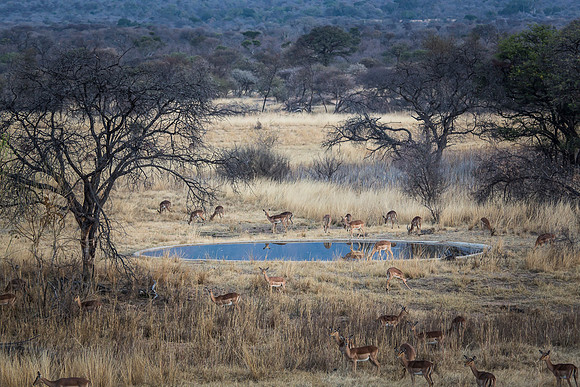 South Africa
