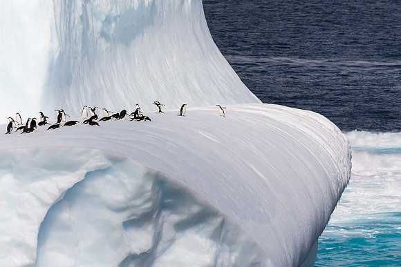 Antarctica