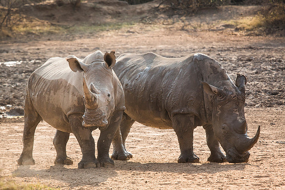 South Africa