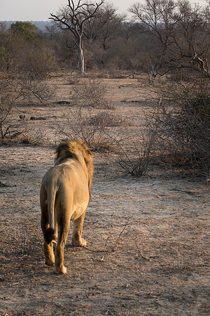 South Africa