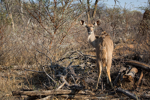 South Africa