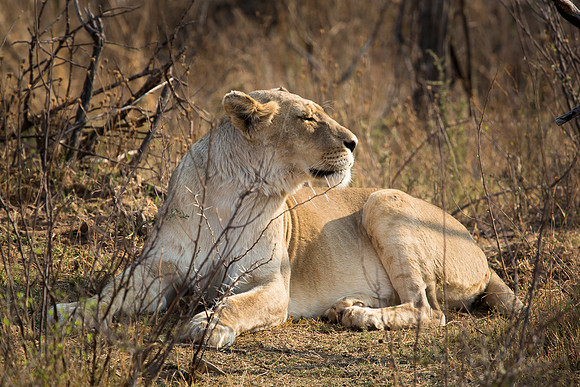 South Africa