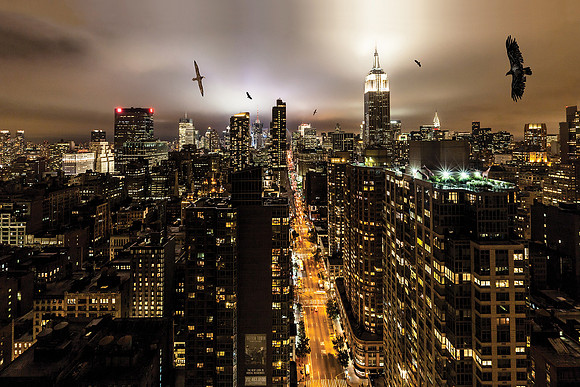 Wandering Over Manhattan