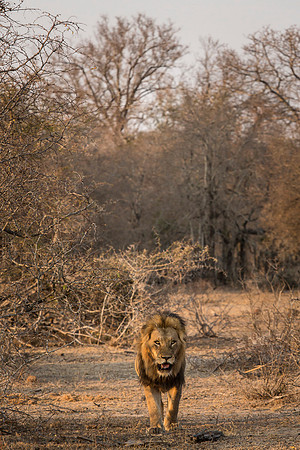 South Africa