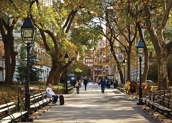Admiring Luggage in Washington Square Park