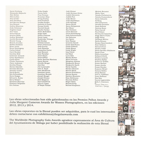 Artist Participants