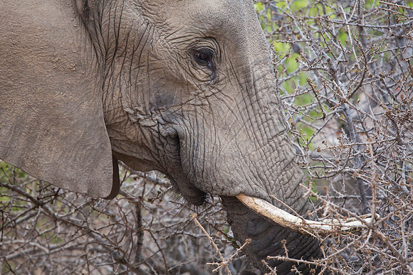 South Africa