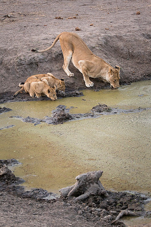 South Africa