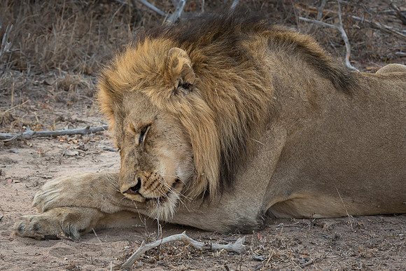 South Africa