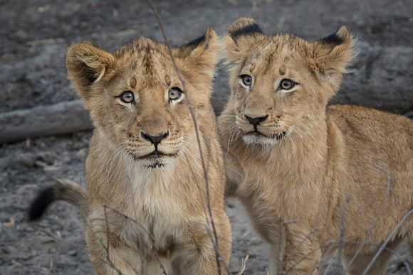 South Africa