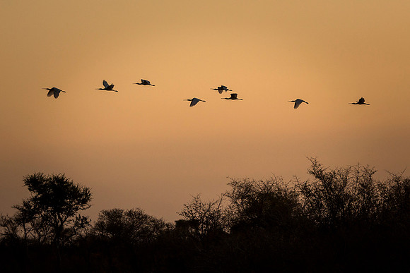 South Africa